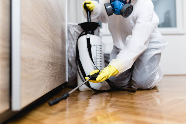 Best Pest Removal Services  in South Dos Palos, CA