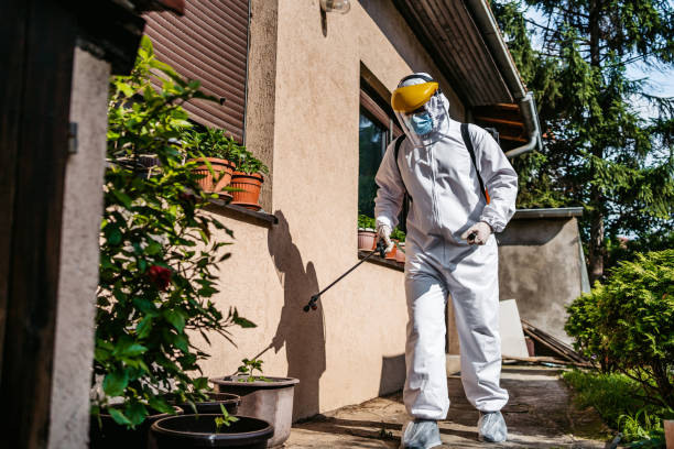 Best Pest Control Near Me  in South Dos Palos, CA