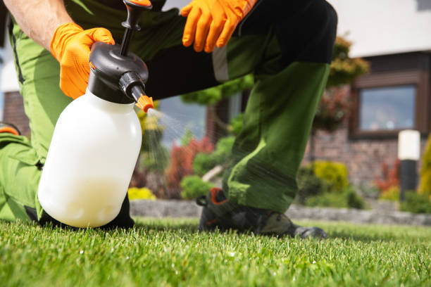 Best Best Pest Control Companies  in South Dos Palos, CA