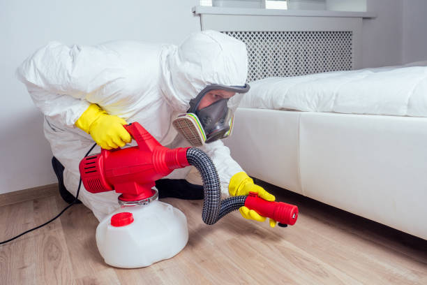 Best Affordable Pest Control Services  in South Dos Palos, CA