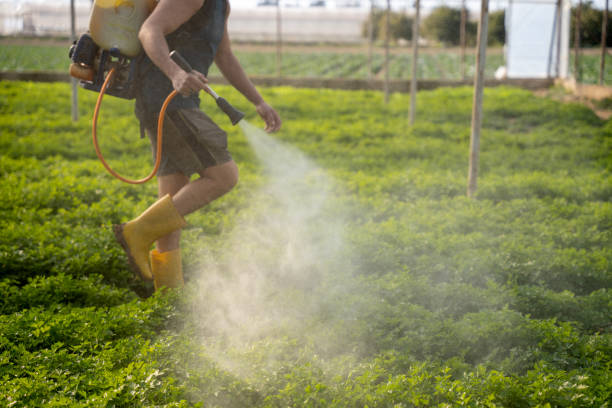 Best Best Pest Control Companies  in South Dos Palos, CA