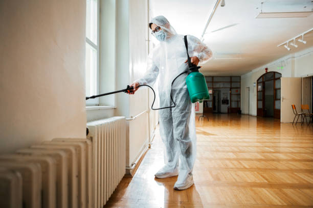 Best Bed Bug Extermination  in South Dos Palos, CA