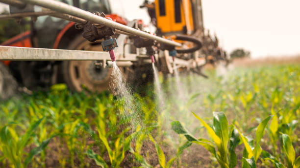 Best Commercial Pest Control Services  in South Dos Palos, CA