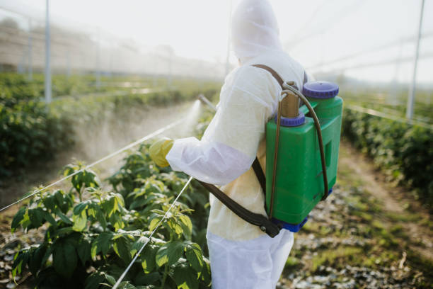 Best Residential Pest Control  in South Dos Palos, CA